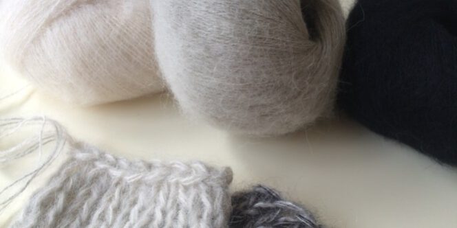 LOTILDA-Beitragsbild-lang-3